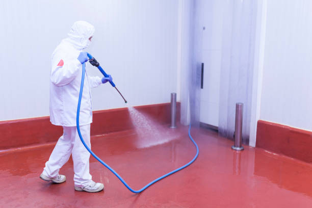 Best Boat and Dock Cleaning  in Pennville, PA